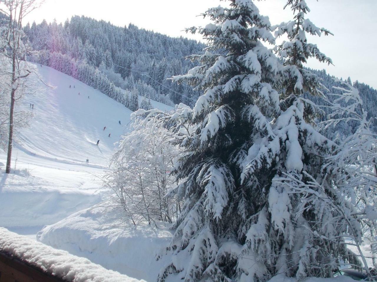 Chalet Jonquille Les Gets Eksteriør bilde