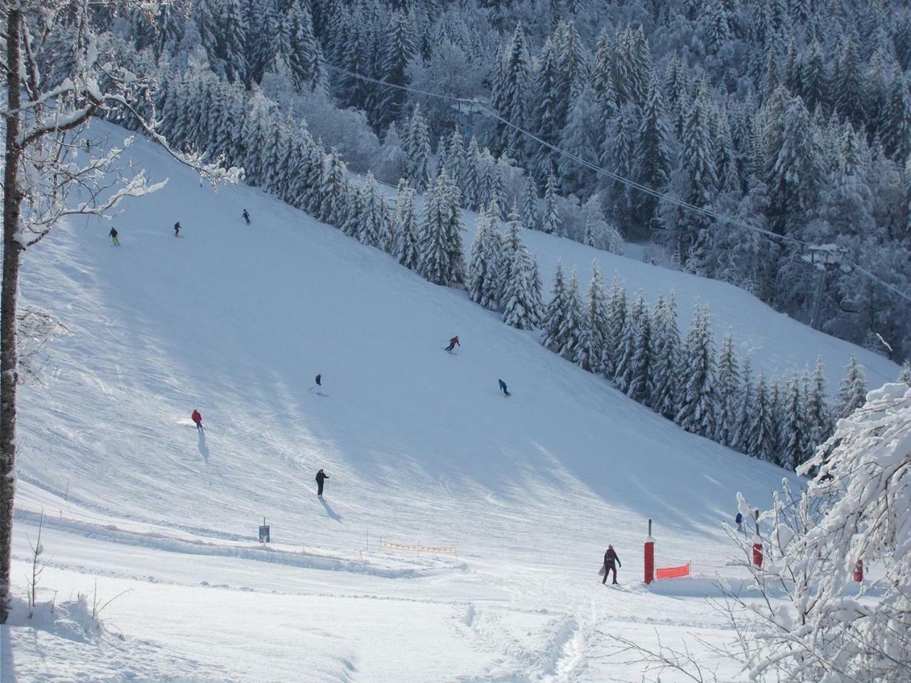 Chalet Jonquille Les Gets Eksteriør bilde
